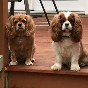 Meet your Posher, Kim